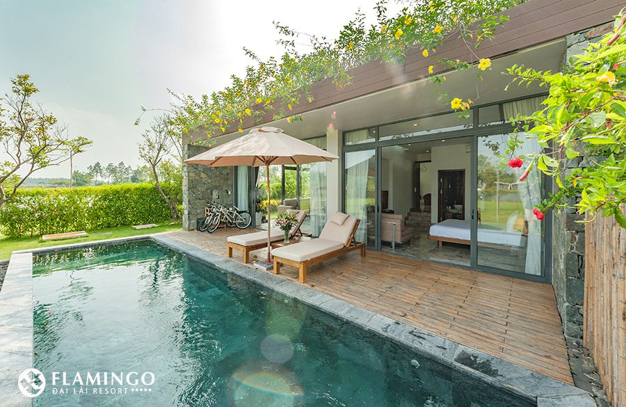 Flamingo – Vùng đất tươi đẹp