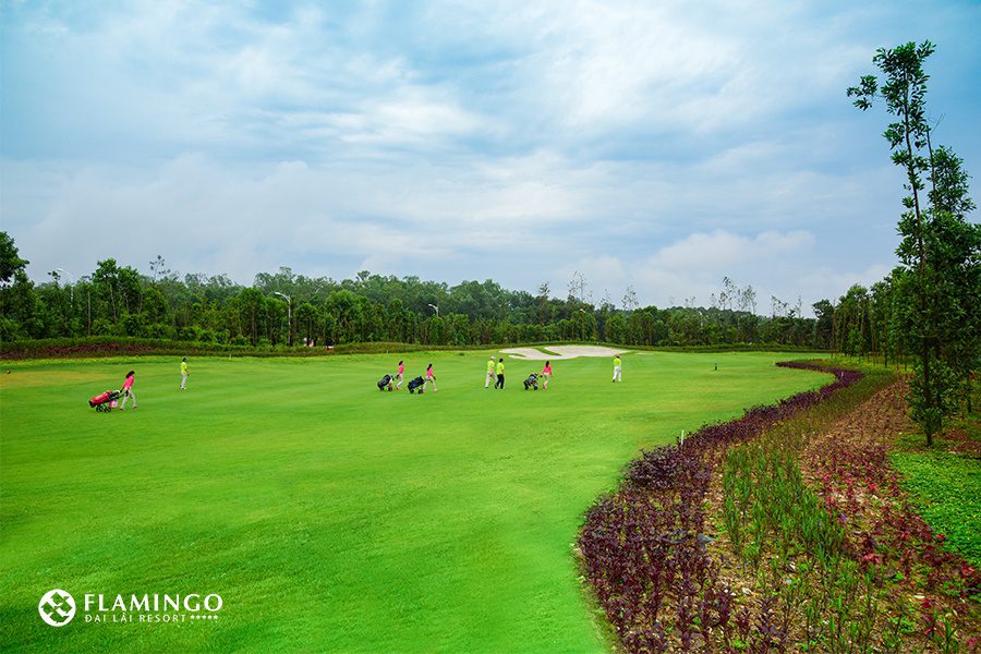 Sân Golf Flamingo Đại Lải – Địa chỉ, số điện thoại đặt sân, combo nghỉ dưỡng golf