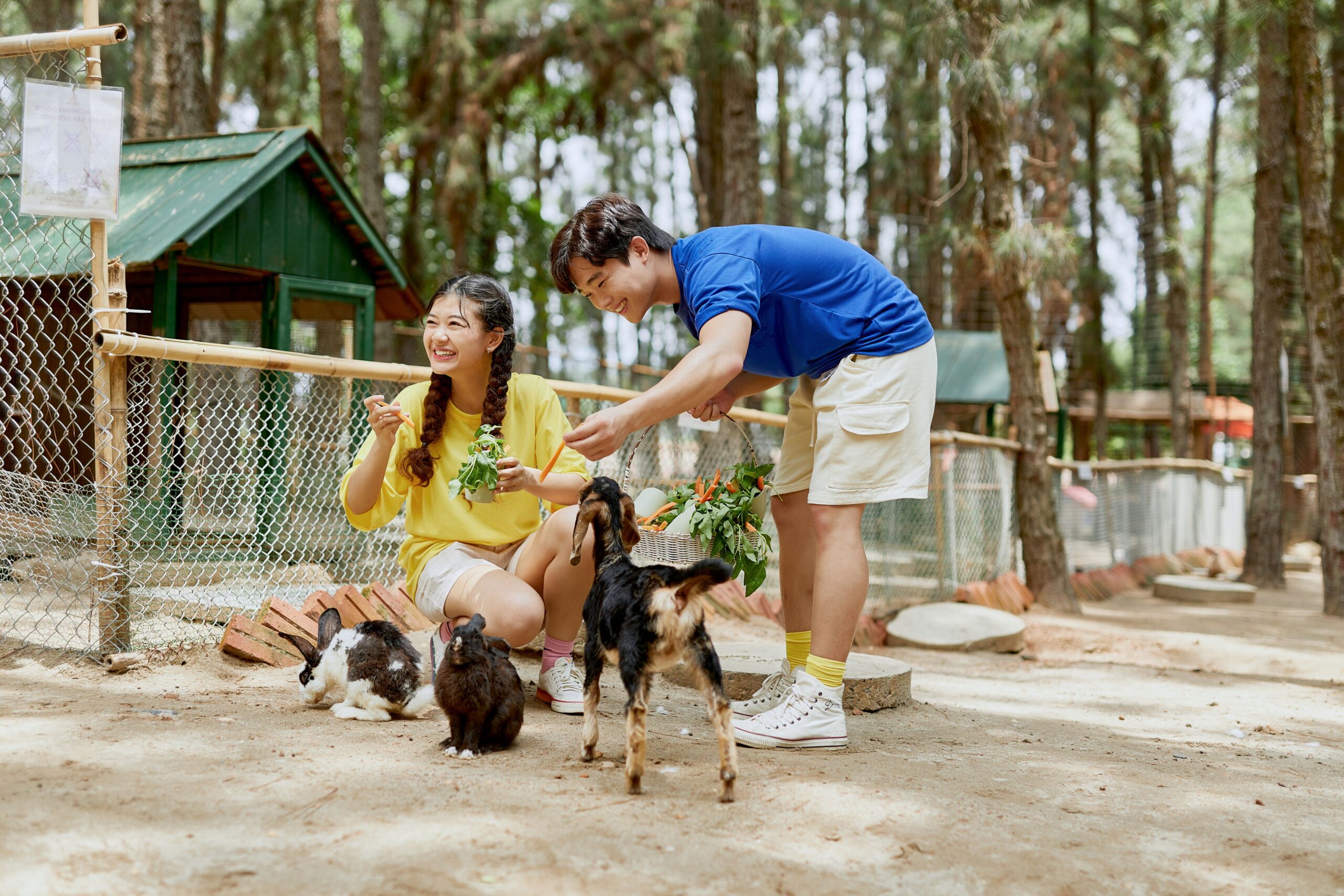 flamingo-dai-lai-hohoo-zoo