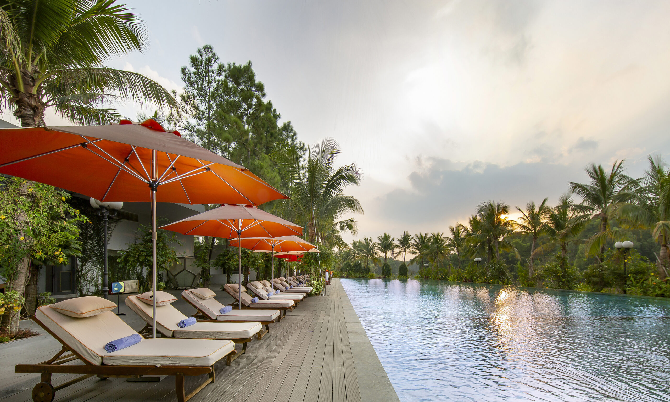 flamingo-dai-lai-poem-pool